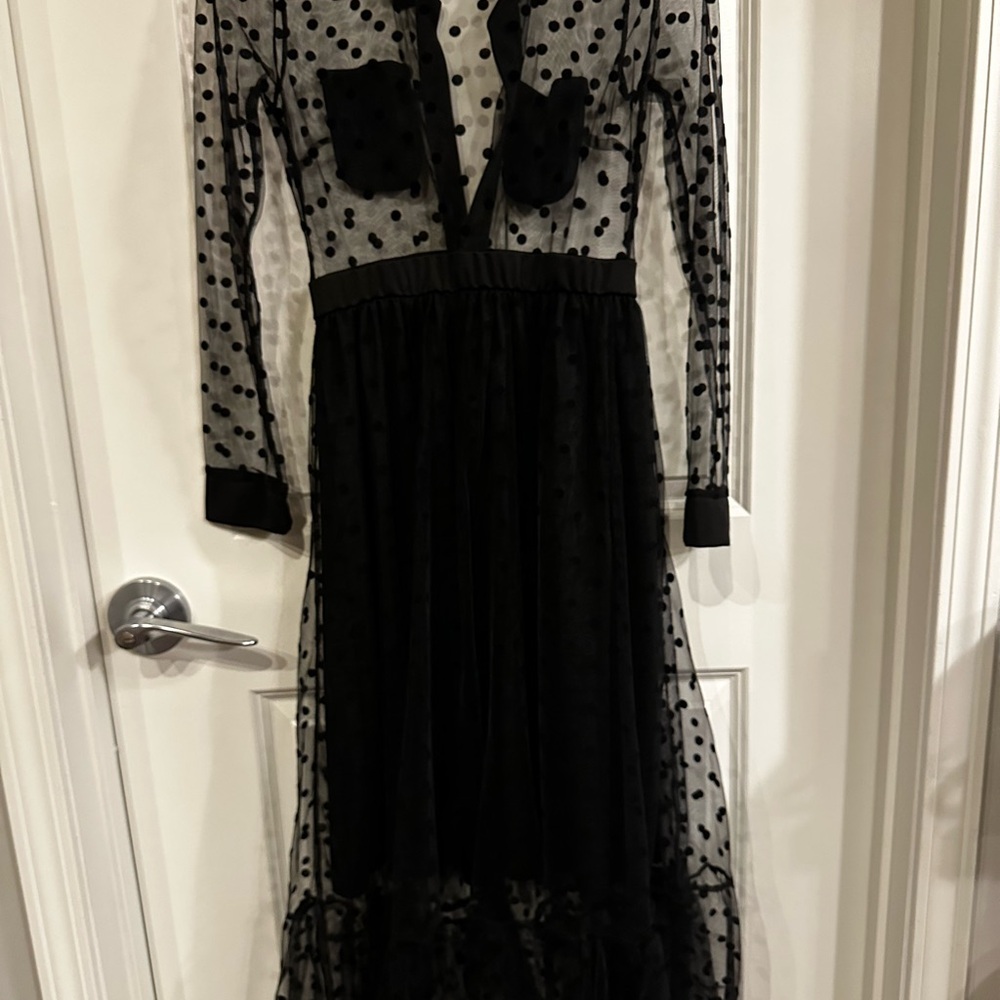 Black Sheer Polka Dot Long-Sleeve Maxi Dress – Size S - Picture 6 of 8